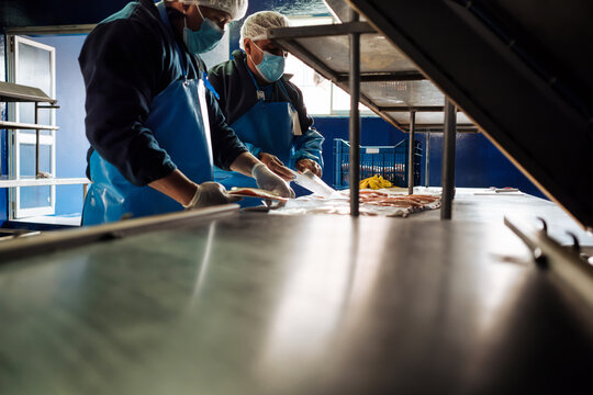 Employees Packing fish fillets