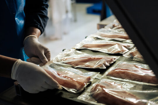 Employe Packing fish fillets