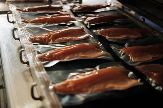 Vacuum Sealed Fish Fillets 