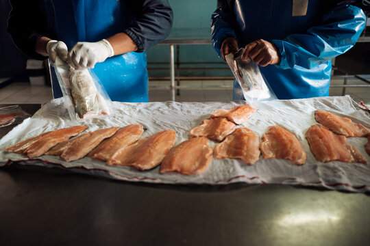 Employees Packing fish fillets