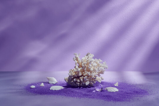 Beautiful shells and coral on sand against purple background