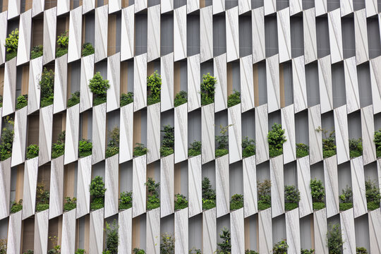 Modern Building Facade with Greenery