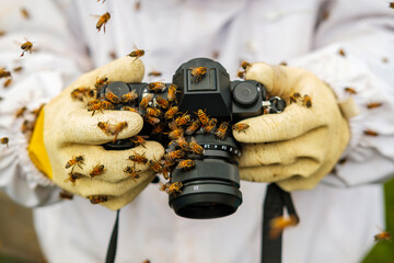 hands wearing gloves holding a camera full with bees