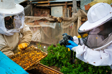 Photographer Capturing Beekeeper hard work