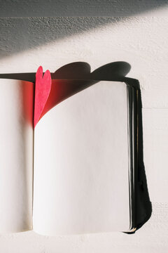 Open blank book