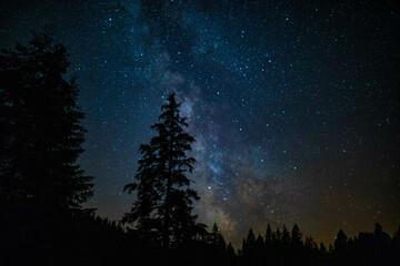 Naklejka premium Stars