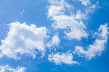 blue sky and white cloud nature