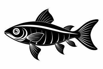 A pearl danio fish silhouette black vector artwork illustration 