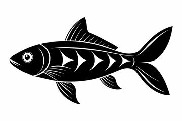 A pearl danio fish silhouette black vector artwork illustration 