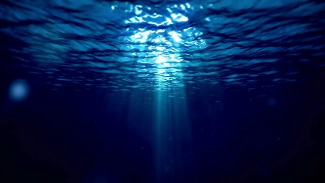4K Ultra HD Video: Underwater Rays