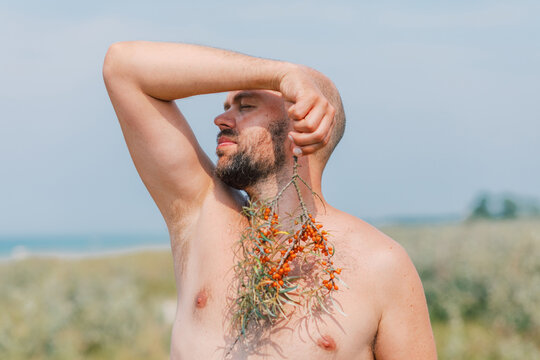 Sea-Buckthorn Modesty on the Beach