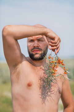 Sea-Buckthorn Modesty on the Beach