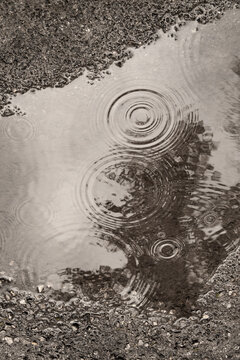 Raindrops on puddle.