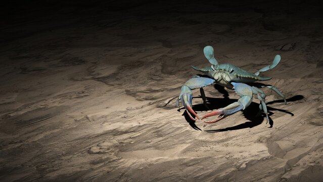 Crab