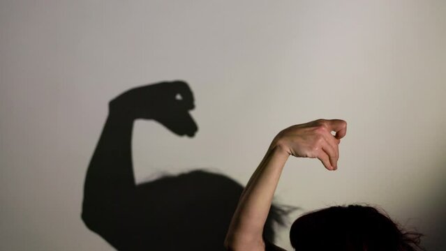 Captivating hand shadow puppet show performance displayed on wall