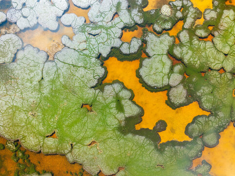 Colorful Textures Lake From Above  