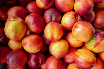 Peaches in Season