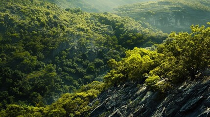 The image shows a beautiful landscape with green hills and mountains in the distance. The foreground is covered in lush green vegetation.