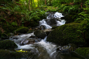 Small waterfall amid mossy rocks and trees in a serene setting
