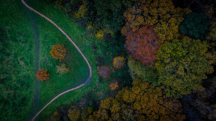 Top down view of trees with autumn colours beside a trail in a park. Surrey, England © Wirestock