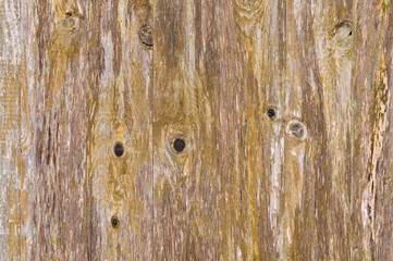 Fototapeta premium the wood is brown and worn and peeling off it's surface
