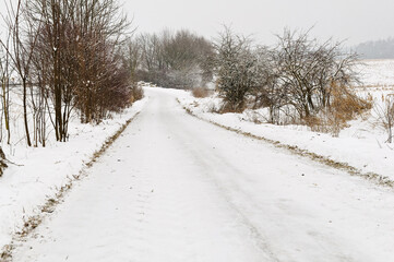 Naklejka premium Road covered with snow and bushes, winter in Germany