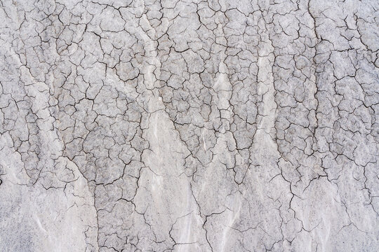 Cracks in Mud in New Mexico, United States
