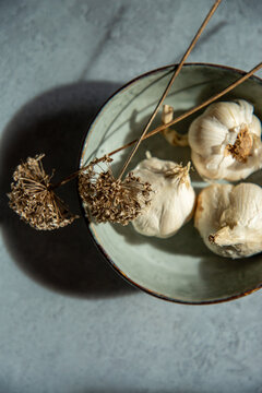 Garlic bulbs and dried allium flowers