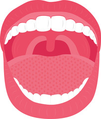 Vector illustration of a human mouth with visible teeth