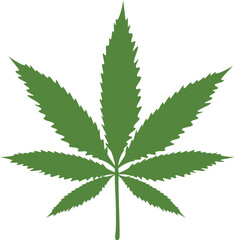 Vector illustration of a green marijuana leaf on white background.