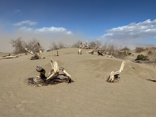 Mesquite Flat Sand Dunes in Death Valley during a sand storm caused by high winds