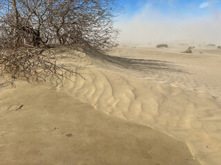 Mesquite Flat Sand Dunes in Death Valley during a sand storm caused by high winds