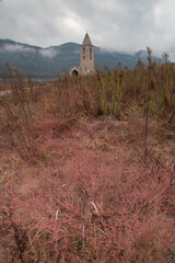 Scenic view of Panta de Sau swamp in Catalonia, Spain