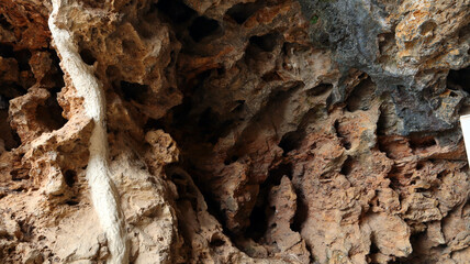 This close-up view showcases intricate details of rock formation within Cave Denia, highlighting  natural textures and patterns. Rugged surface of rock reflects effects of geological processes