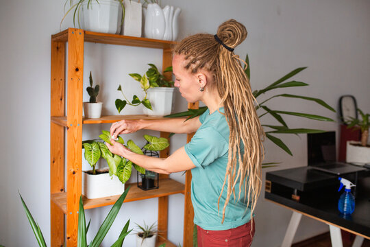 europenian woman take care about home plants