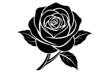 rose flower vector silhouette illustration