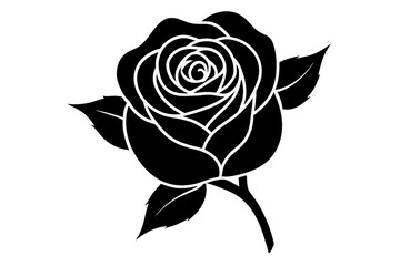 rose flower vector silhouette illustration