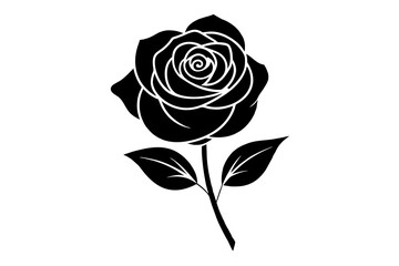 rose flower vector silhouette illustration