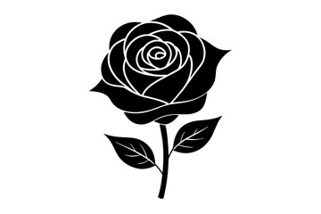 rose flower vector silhouette illustration