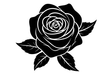 rose flower vector silhouette illustration
