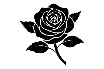 rose flower vector silhouette illustration