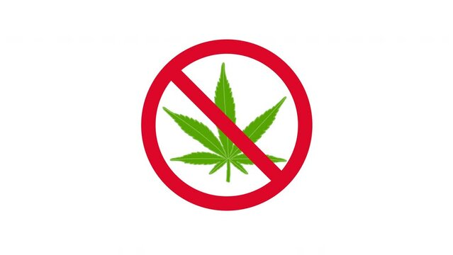 forbidden cannabis marijuana sign isolated on white and black background