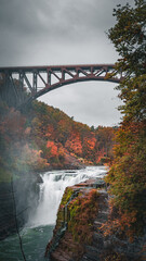 Fototapeta premium River flow and fall with vibrant color in a cloudy day during autumn season