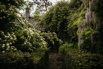 House hidden by luscious vegetation