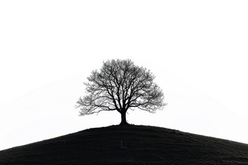 solitary tree silhouette against pure white background striking contrast simplistic nature photography