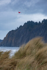 kite on the beach