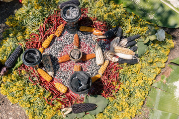 Tribute to Mother Earth