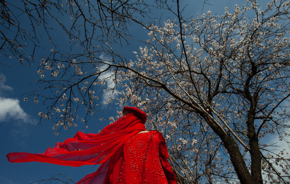 Move in red in the front of the flowering tree