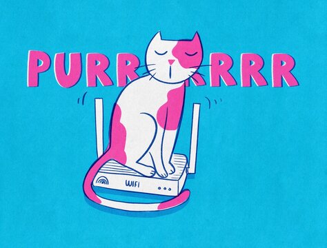 Cat sleeping on Wireless internet Router