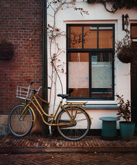 Bicycle in front of an old house in Deflt.